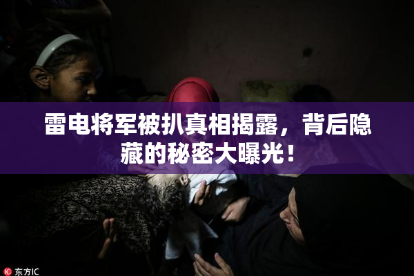 雷电将军被扒真相揭露，背后隐藏的秘密大曝光！
