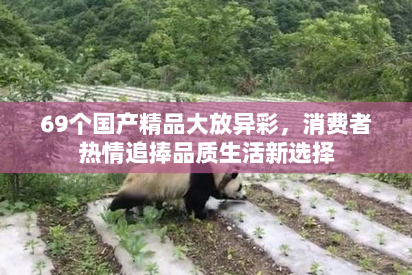69个国产精品大放异彩，消费者热情追捧品质生活新选择