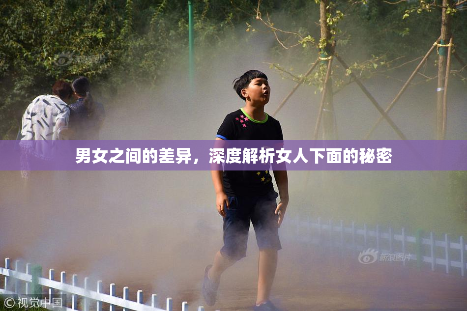 男女之间的差异，深度解析女人下面的秘密