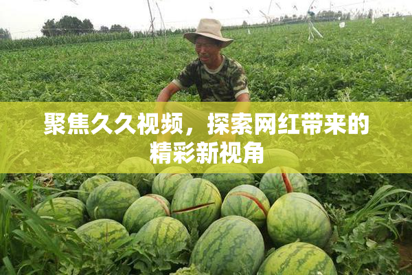 聚焦久久视频，探索网红带来的精彩新视角