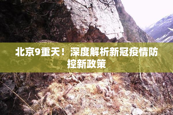 北京9重天！深度解析新冠疫情防控新政策