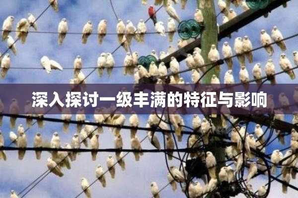 深入探讨一级丰满的特征与影响