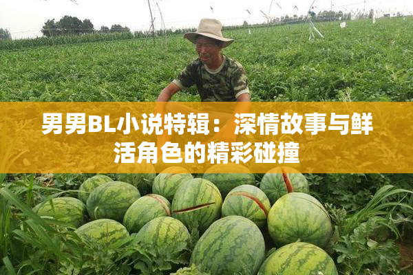 男男BL小说特辑：深情故事与鲜活角色的精彩碰撞