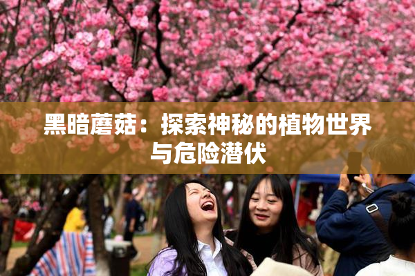 黑暗蘑菇：探索神秘的植物世界与危险潜伏