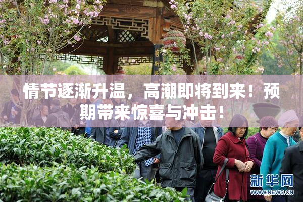 情节逐渐升温，高潮即将到来！预期带来惊喜与冲击！