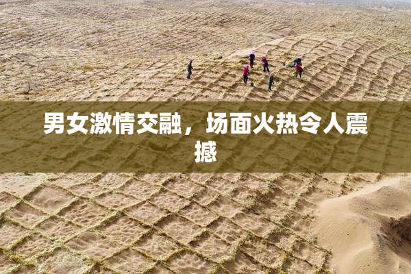 男女激情交融，场面火热令人震撼