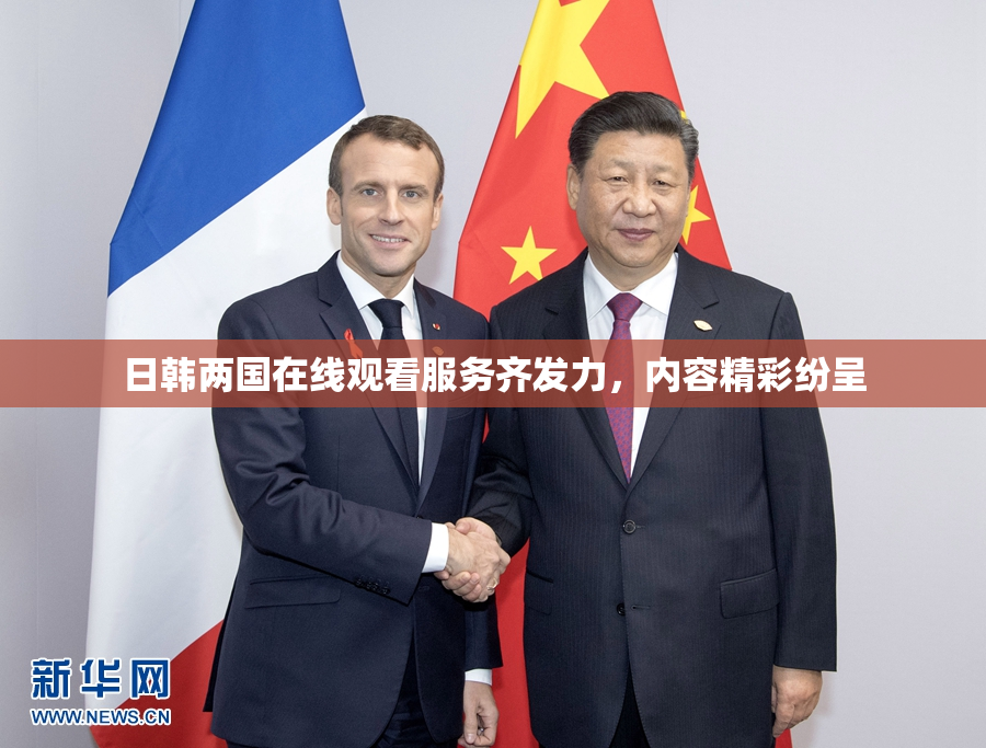 日韩两国在线观看服务齐发力，内容精彩纷呈