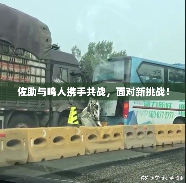 佐助与鸣人携手共战，面对新挑战！