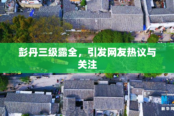 彭丹三级露全，引发网友热议与关注