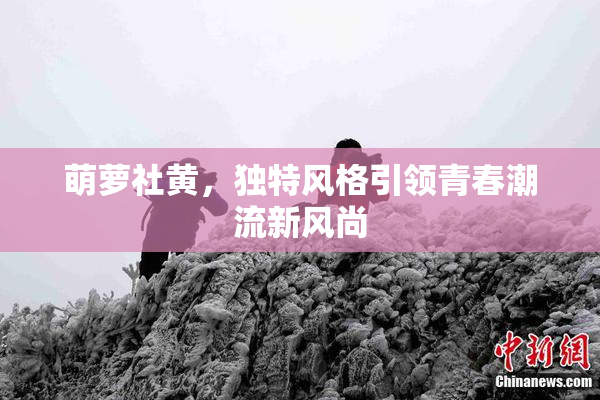 萌萝社黄，独特风格引领青春潮流新风尚
