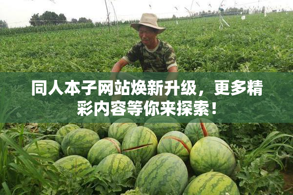 同人本子网站焕新升级，更多精彩内容等你来探索！