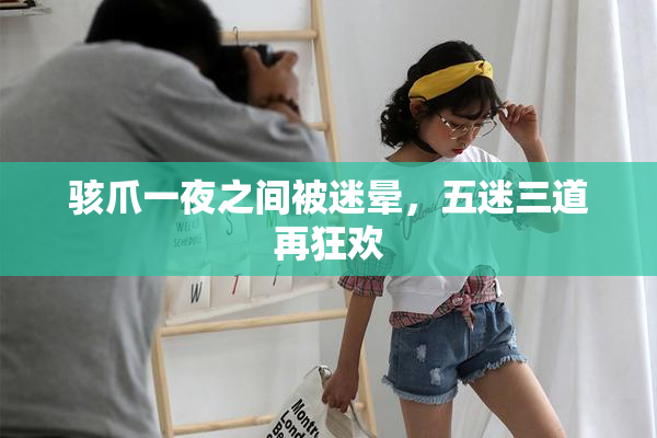 骇爪一夜之间被迷晕，五迷三道再狂欢