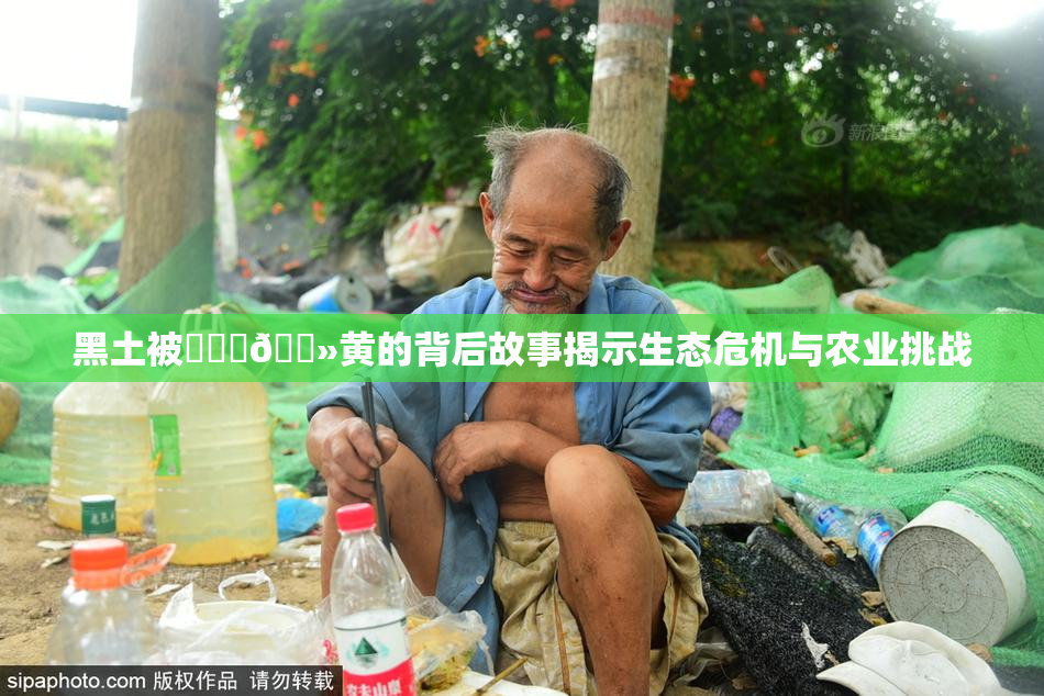 黑土被❌‌‌🐻黄的背后故事揭示生态危机与农业挑战