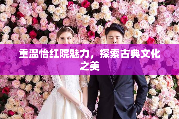 重温怡红院魅力，探索古典文化之美