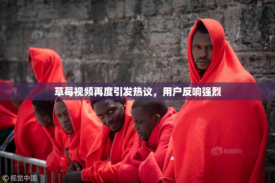 草莓视频再度引发热议，用户反响强烈