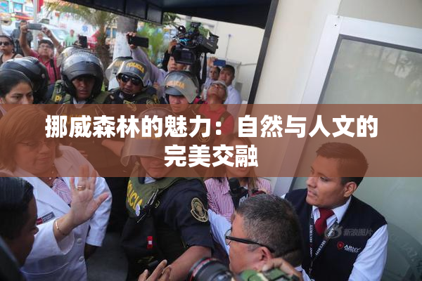 挪威森林的魅力：自然与人文的完美交融