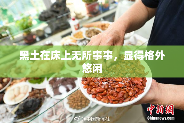 黑土在床上无所事事，显得格外悠闲