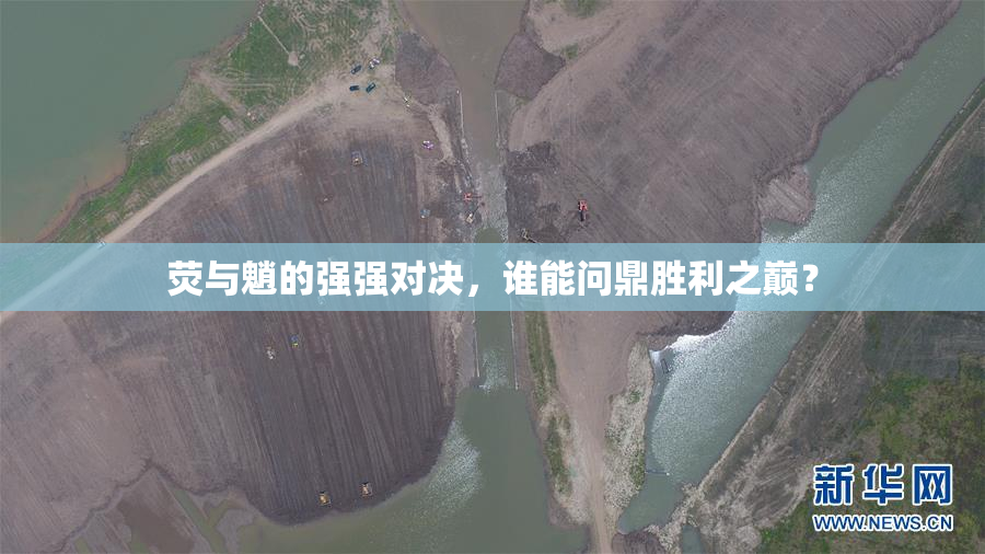 荧与魈的强强对决，谁能问鼎胜利之巅？