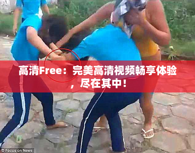 高清Free：完美高清视频畅享体验，尽在其中！