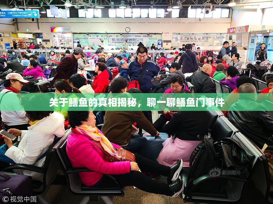 关于鳝鱼的真相揭秘，聊一聊鳝鱼门事件