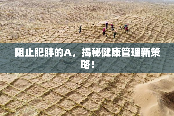 阻止肥胖的A，揭秘健康管理新策略！