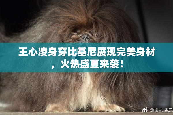 王心凌身穿比基尼展现完美身材，火热盛夏来袭！