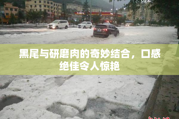 黑尾与研磨肉的奇妙结合，口感绝佳令人惊艳