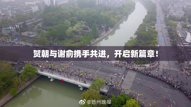 贺朝与谢俞携手共进，开启新篇章！