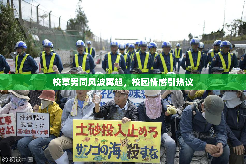 校草男同风波再起，校园情感引热议