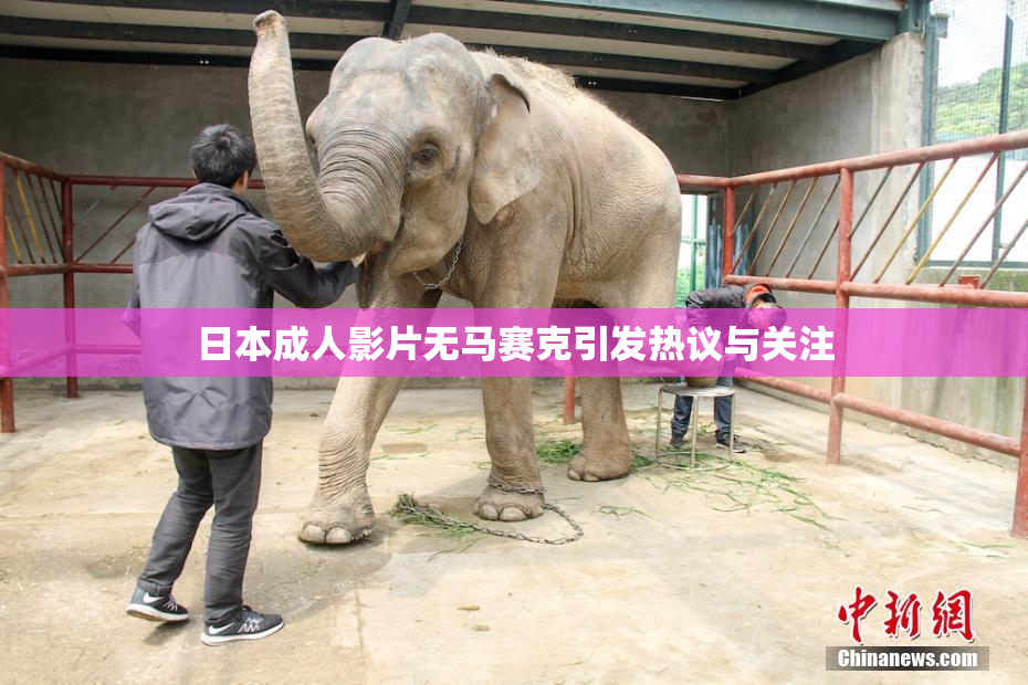 日本成人影片无马赛克引发热议与关注