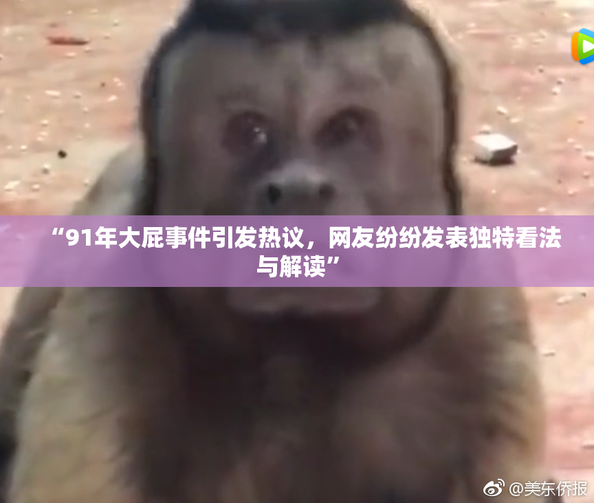 “91年大屁事件引发热议，网友纷纷发表独特看法与解读”
