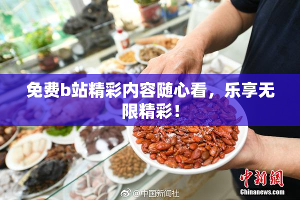 免费b站精彩内容随心看，乐享无限精彩！