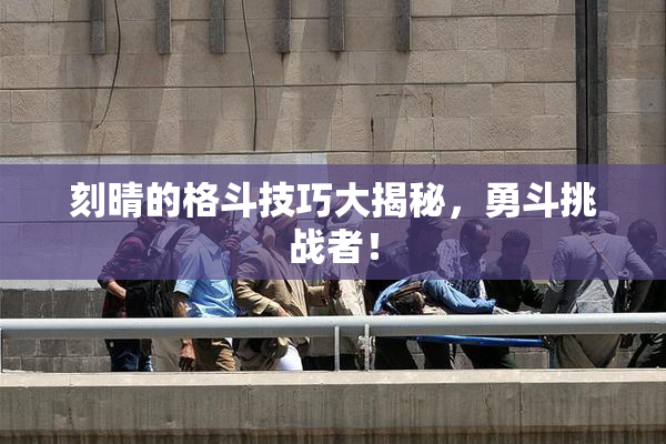 刻晴的格斗技巧大揭秘，勇斗挑战者！