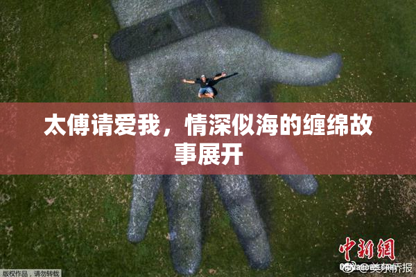 太傅请爱我，情深似海的缠绵故事展开