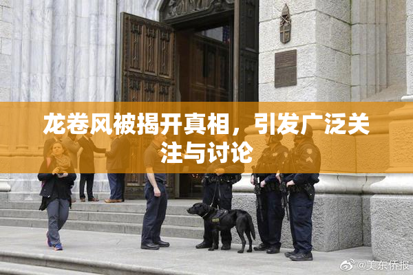 龙卷风被揭开真相，引发广泛关注与讨论