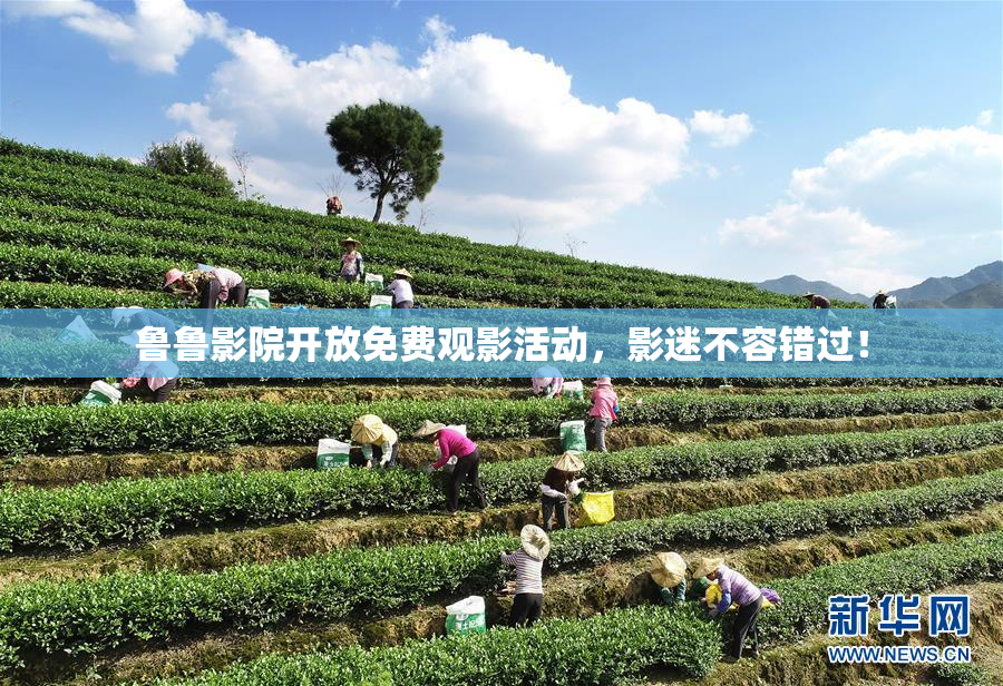 鲁鲁影院开放免费观影活动，影迷不容错过！