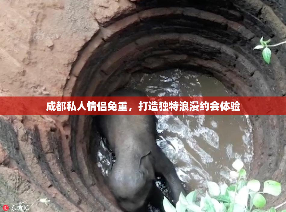 成都私人情侣免重，打造独特浪漫约会体验