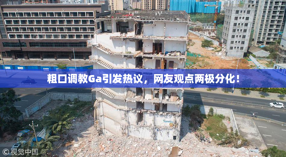 粗口调教Ga引发热议，网友观点两极分化！