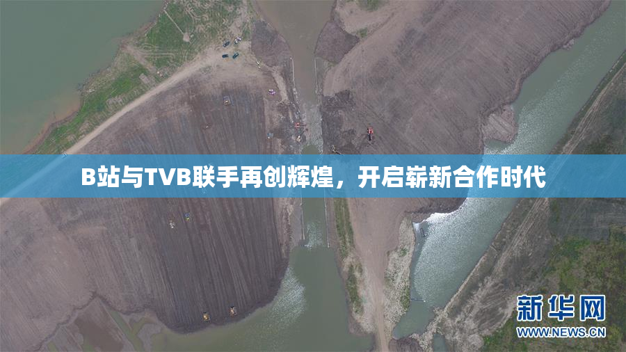 B站与TVB联手再创辉煌，开启崭新合作时代