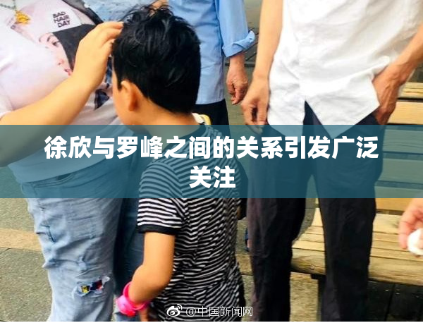 徐欣与罗峰之间的关系引发广泛关注