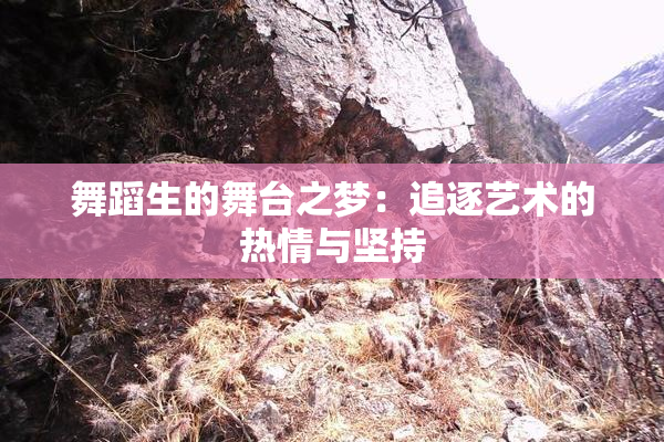 舞蹈生的舞台之梦：追逐艺术的热情与坚持