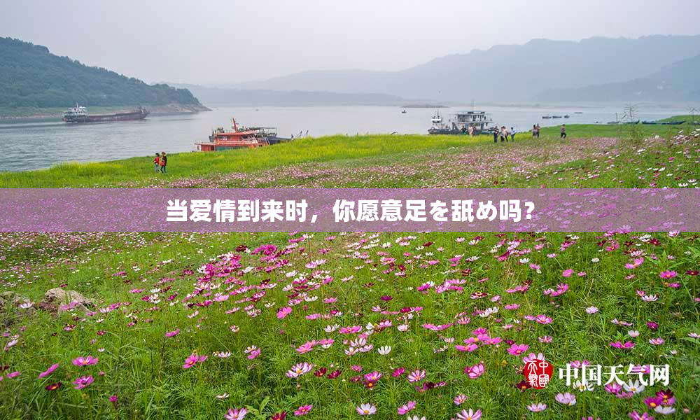当爱情到来时，你愿意足を舐め吗？
