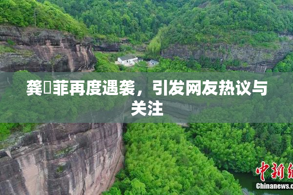 龚玥菲再度遇袭，引发网友热议与关注