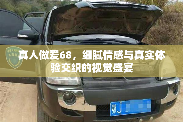 真人做爰68，细腻情感与真实体验交织的视觉盛宴