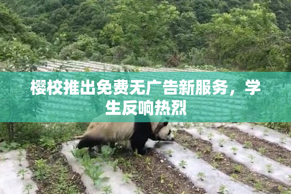 樱校推出免费无广告新服务，学生反响热烈
