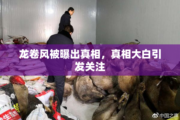 龙卷风被曝出真相，真相大白引发关注