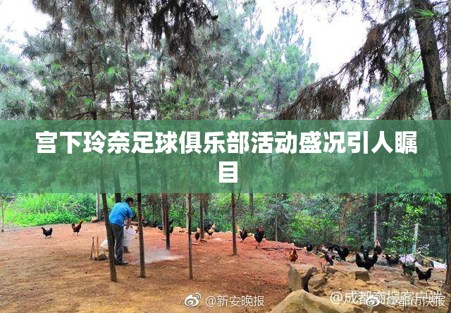 宫下玲奈足球俱乐部活动盛况引人瞩目