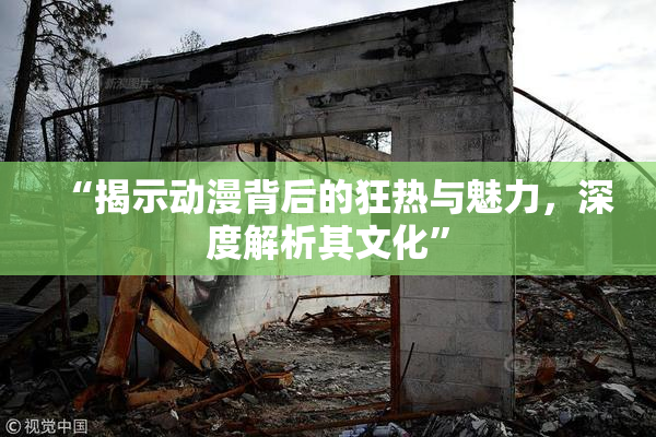 “揭示动漫背后的狂热与魅力，深度解析其文化”