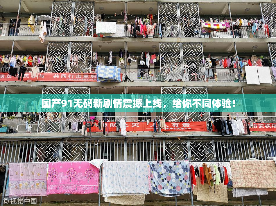 国产91无码新剧情震撼上线，给你不同体验！