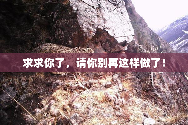 求求你了，请你别再这样做了！